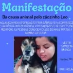 Após ser espancado até a morte, cãozinho “Léo” motiva manifestação contra maus-tratos em Corumbá