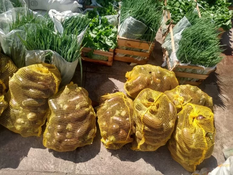 Produtores podem participar do Programa de Aquisição de Alimentos em Corumbá