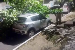 Leia mais sobre o artigo Veículo fica danificado após ser atingido por queda de árvore no centro de Corumbá