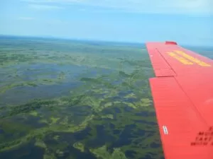 Leia mais sobre o artigo Com incêndio extinto no Pantanal bombeiros fazem monitoramento na Serra do Amolar