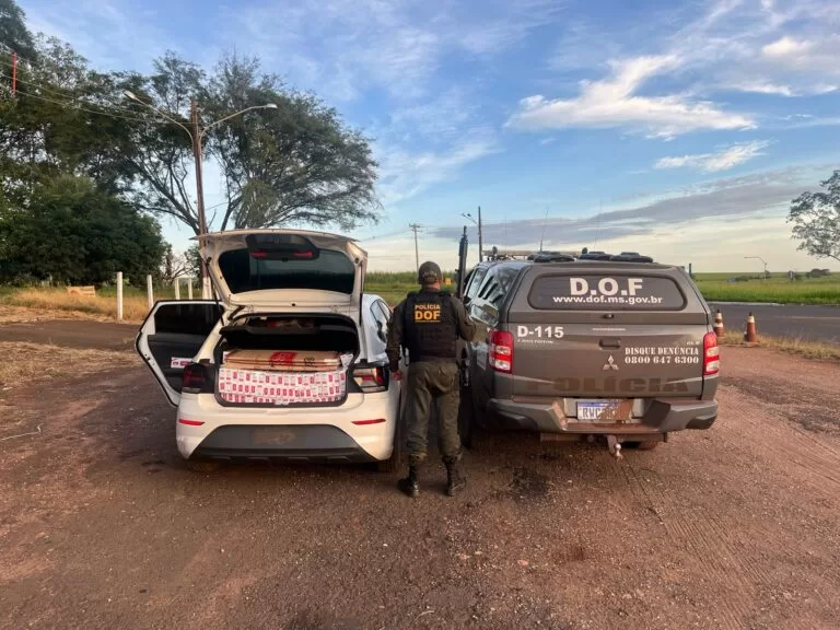 DOF apreende veículo com mais de 700 pacotes de cigarros contrabandeados