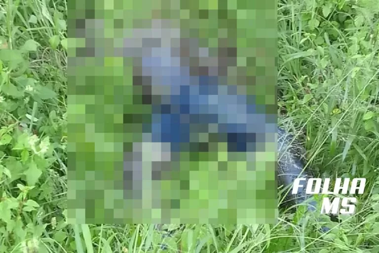 Corpo é encontrado em avançado estado de decomposição na entrada de Corumbá