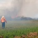 Incêndio na Serra do Amolar diminui e ações de recuperação iniciam