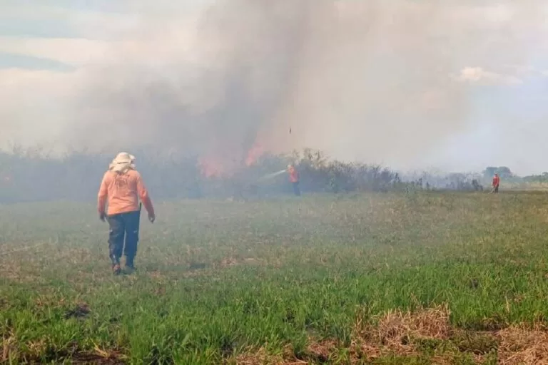Incêndio na Serra do Amolar diminui e ações de recuperação iniciam