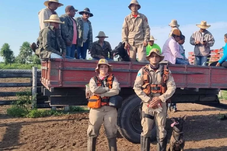 Indígena desaparece no Pantanal e mobiliza buscas na região