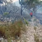 Equipes atuam para proteger área de recuperação de incêndios na Serra do Amolar