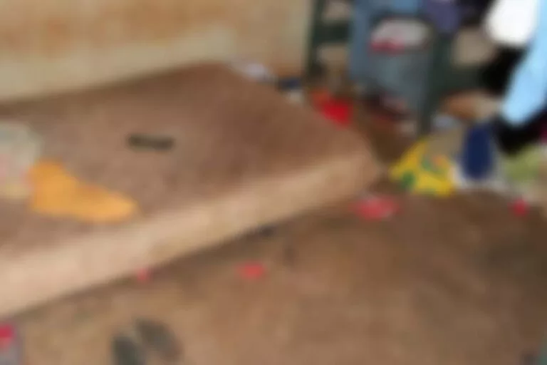 Polícia resgata irmãos que viviam em casa insalubre com 24 animais