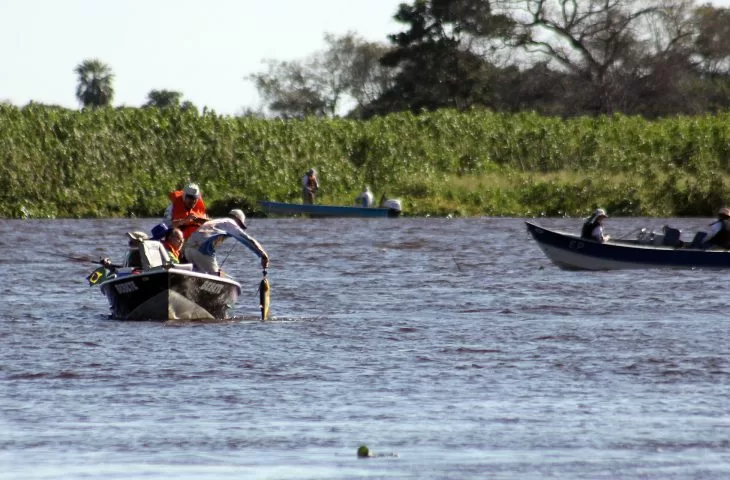 Você está visualizando atualmente Modalidade ‘pesque e solte’ está liberada nos rios Paraguai e Paraná