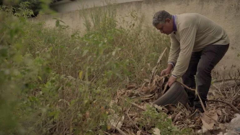 dengue boletim epidemiológico Mato Grosso do Sul