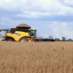 Nuffield: Mato Grosso do Sul sedia evento mundial de agronegócio