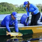 Pesca do dourado continua proibida nos rios de Mato Grosso do Sul até março de 2025