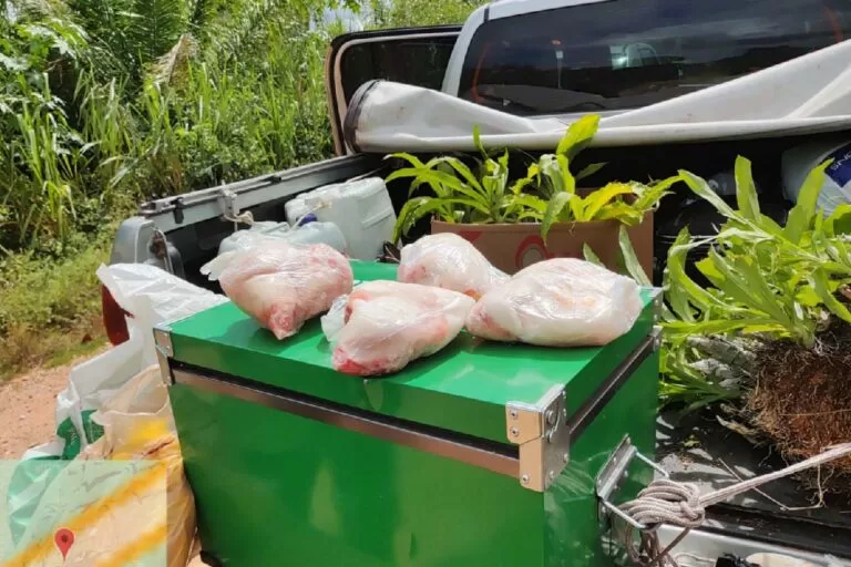 Homem é multado em R$ 5 mil reais ao ser flagrado transportando carne de jacaré