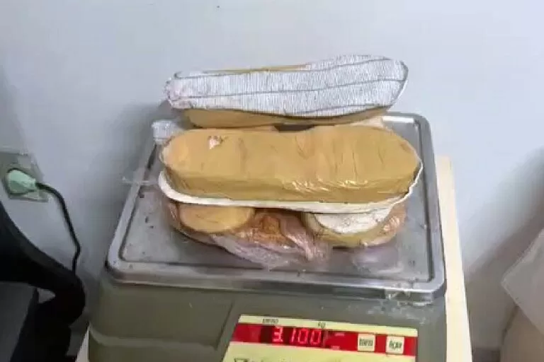 três bolivianos foram flagrados transportando 3,100 kg de cocaína escondida em calçados