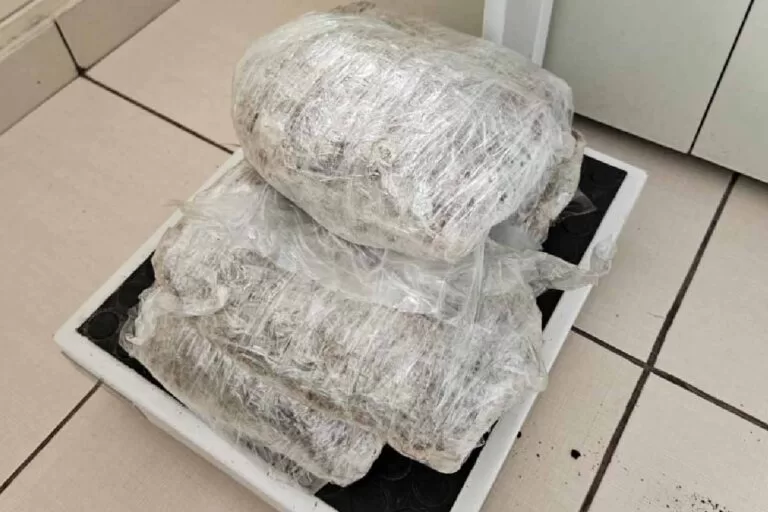 Operação conjunta prende mulher por tráfico de drogas na rota Corumbá x Campo Grande