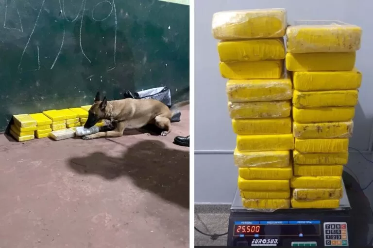 Exército apreende mais de 28 kg de drogas em fiscalização na BR-262