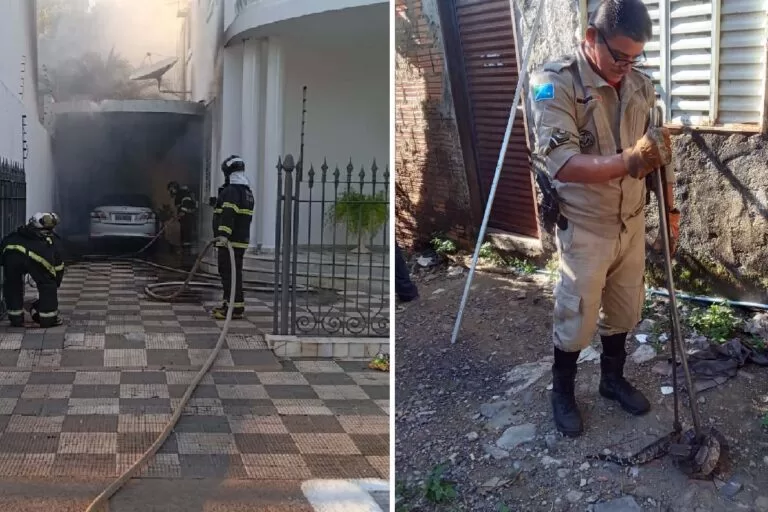 Incêndio em veículo e captura de serpente mobilizam equipes do Corpo de Bombeiros