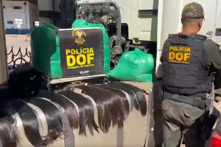 DOF aprende carga de cabelo humano avaliado em mais de um milhão em Corumbá