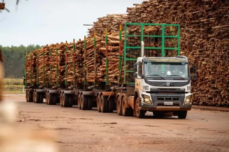 Deputado quer restrição de tráfego de tritrens à noite e aos finais de semana na MS-450