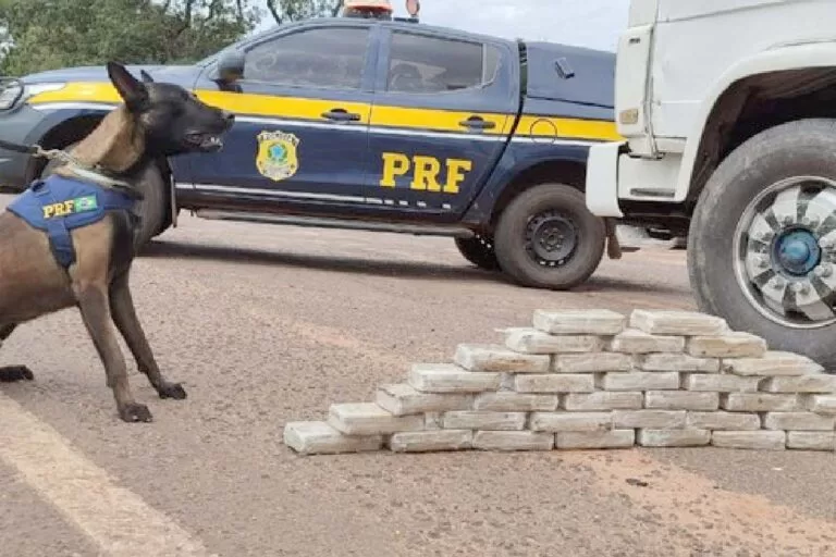 36 kg de cocaína são encontrados em compartimento oculto de caminhão na BR-262