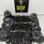 44 quilos de cabelo humano contrabandeados da Bolívia são apreendidos pelo DOF