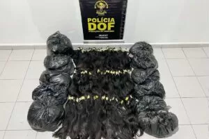 Leia mais sobre o artigo 44 quilos de cabelo humano contrabandeados da Bolívia são apreendidos pelo DOF