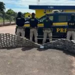 PRF apreende 274 kg de cocaína em Coxim