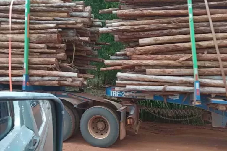 Deputado cobra informações sobre tráfego de carga pesada na BR 262 e Estrada Parque Piraputanga