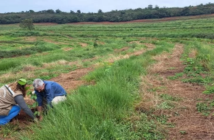 Leia mais sobre o artigo Projeto “Sementes do Taquari” revitaliza áreas degradadas com plantio de mudas