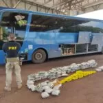 Motorista de ônibus é preso pela PRF com 58 Kg de Skunk e 4 Kg de Cocaína na BR-262