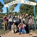 Avistamento de aves: MS mantém posição entre os Top 10 no Global Big Day de maio 2024