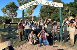 Leia mais sobre o artigo Avistamento de aves: MS mantém posição entre os Top 10 no Global Big Day de maio 2024