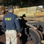 PRF apreende duas toneladas de maconha em caminhão carregado com madeira em MS