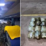 Exército apreende mais de 8 kg de maconha em ônibus que seguia para Campo Grande