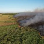 Bombeiros combatem dois incêndios florestais, no Pantanal e em Naviraí