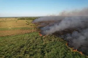 Leia mais sobre o artigo Bombeiros combatem dois incêndios florestais, no Pantanal e em Naviraí