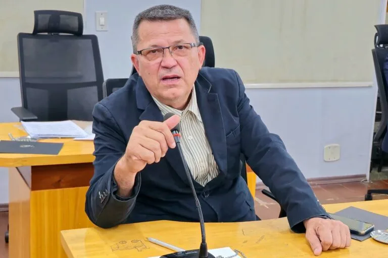 Replantio de Palmeiras Imperiais na Avenida é solicitada na Câmara