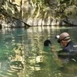 Cascudo ameaçado de extinção é avistado em caverna de Bonito após 20 anos