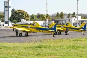 Leia mais sobre o artigo Governo Federal envia aeronaves para auxiliar no combate ao fogo no Pantanal