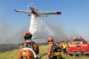 Leia mais sobre o artigo Governo de MS declara situação de emergência em cidades afetadas por incêndios florestais