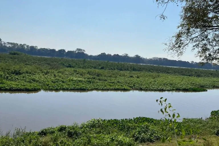 Ladário e Brigada voluntária reforçam estratégias de prevenção de incêndios na APA Baía Negra