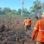 Brigada Alto Pantanal intensifica combate ao fogo na região do Paraguai-mirim