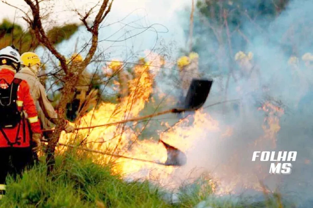 combate incendios manto de fumaça