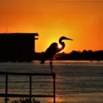 Sexta-feira tem previsão de tempo firme, com sol e baixa umidade do ar em MS