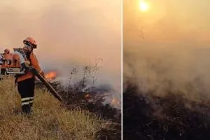 Leia mais sobre o artigo Incêndios no Pantanal: Equipes intensificam ações em Corumbá e na região do Paraguai Mirim