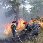 Sob coordenação dos bombeiros de MS, Força Nacional já atua no combate ao fogo no Pantanal