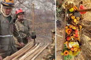 Leia mais sobre o artigo Animais silvestres recebem ajuda em área devastada por incêndios no Paraguai-Mirim