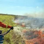 Pantanal: Bases avançadas mostram eficácia na prevenção de incêndios