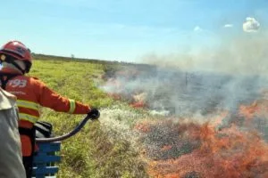 Leia mais sobre o artigo Pantanal: Bases avançadas mostram eficácia na prevenção de incêndios