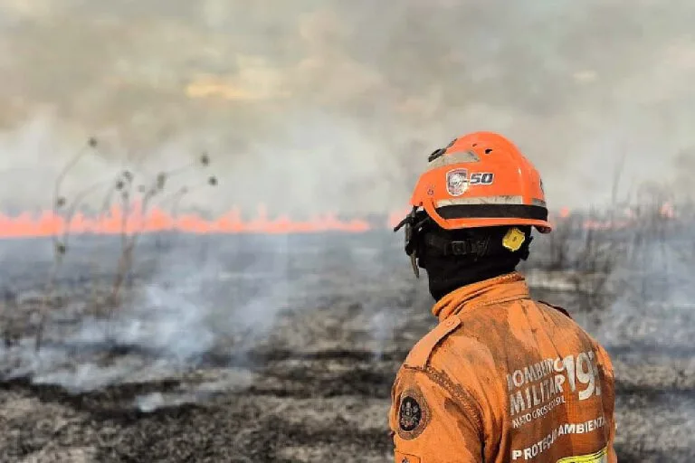 Pantanal: Operação continua com combate e monitoramento de incêndios