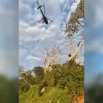 Bombeiros salvam ninho de Tuiuiú cercado pelo fogo no Pantanal